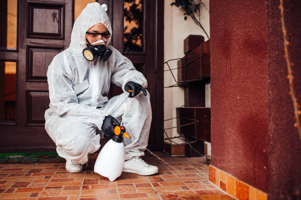 Reliable Cockroach Control contractor in Simpsonville, KY by Nex Pest Control